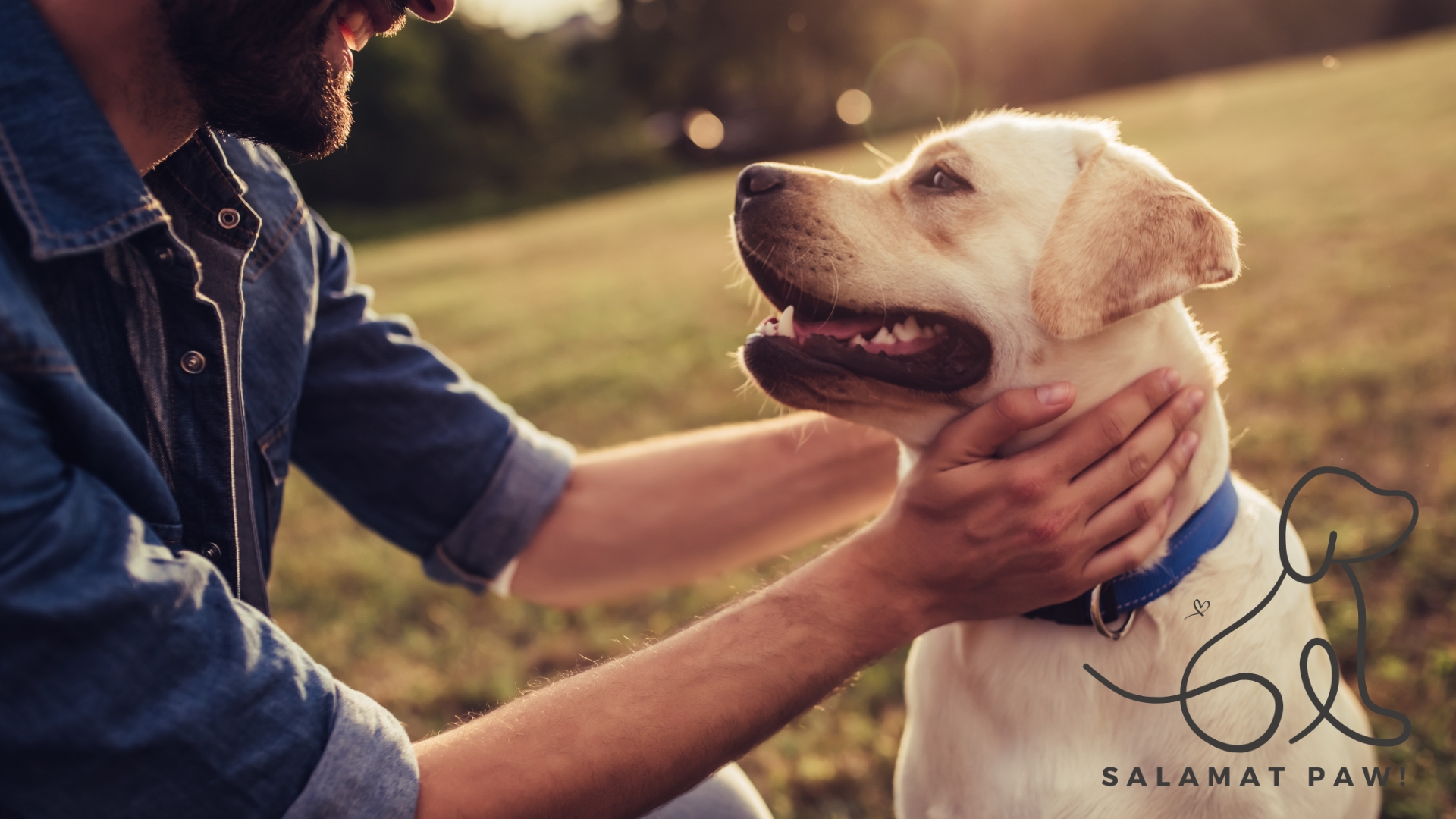 The Importance of Deworming for Dogs in the Philippines
